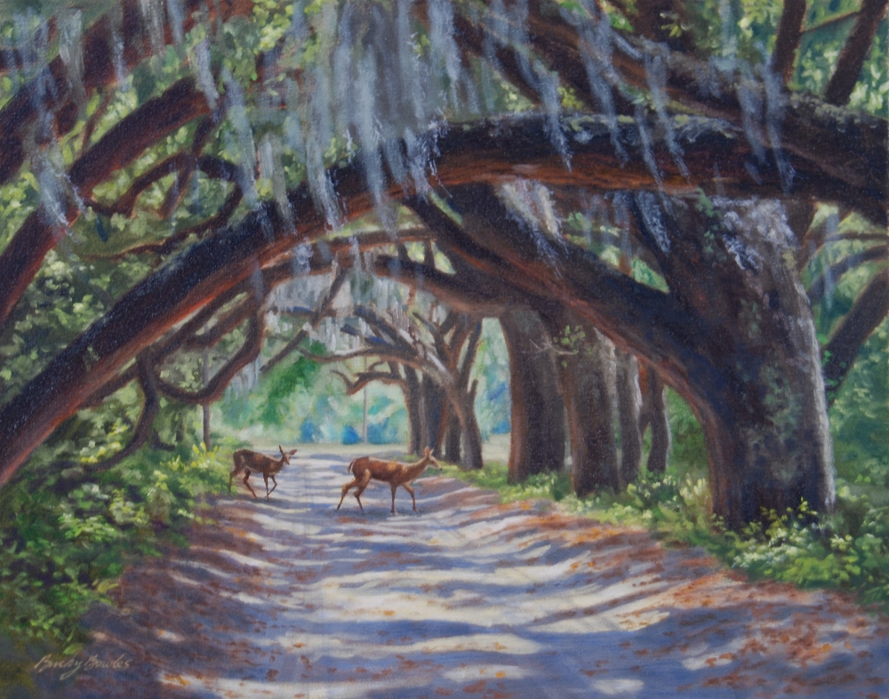 Canopy Road