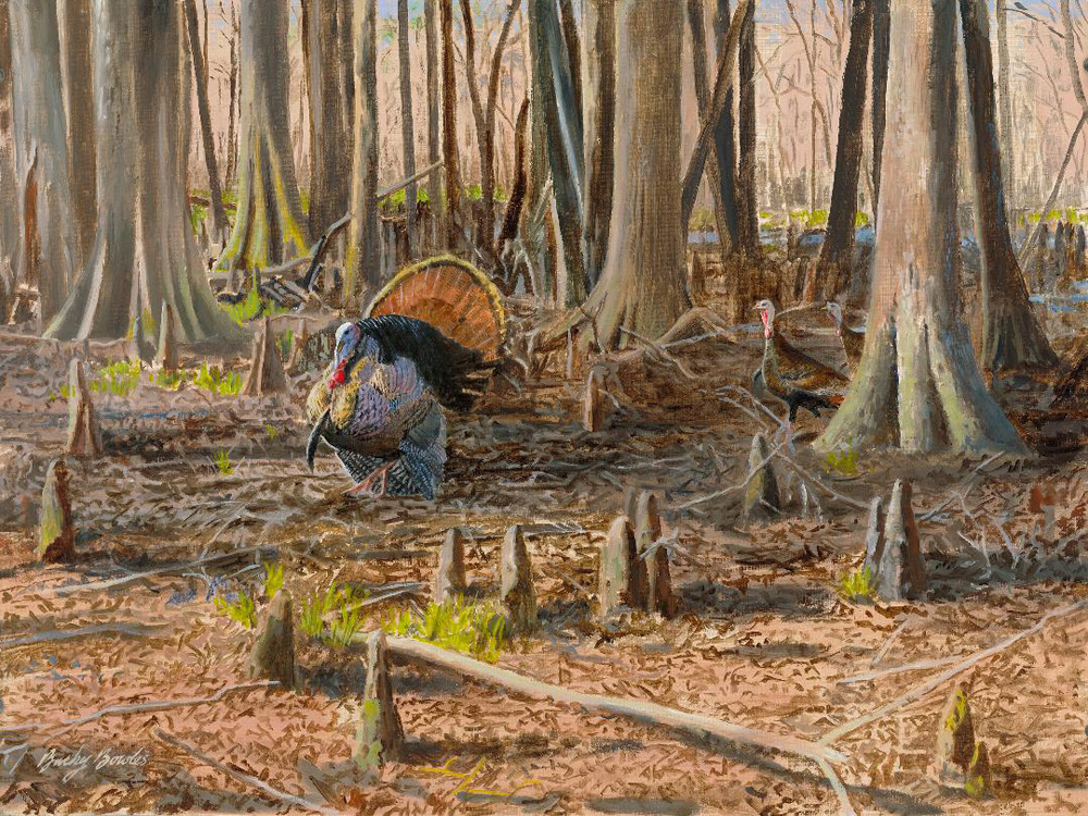 Cypress Swamp Gobbler
