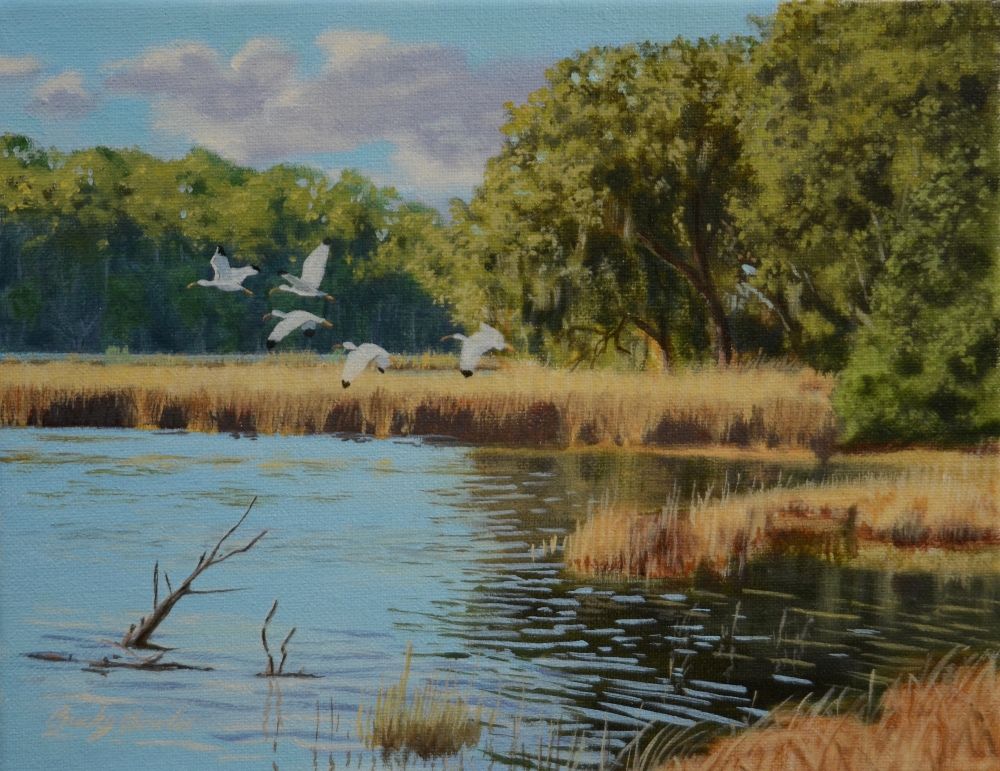 Ibis over the Marsh