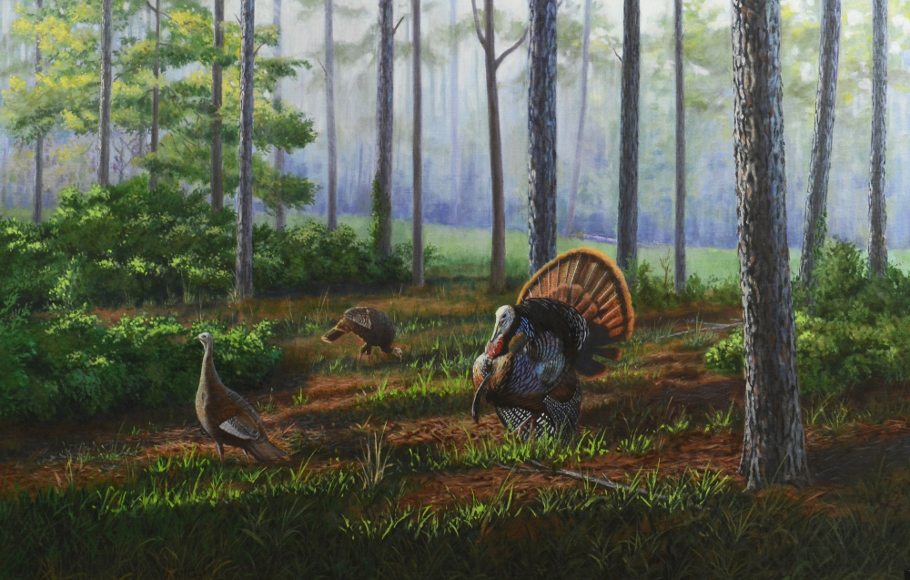 Spring Morning at Cedar Creek